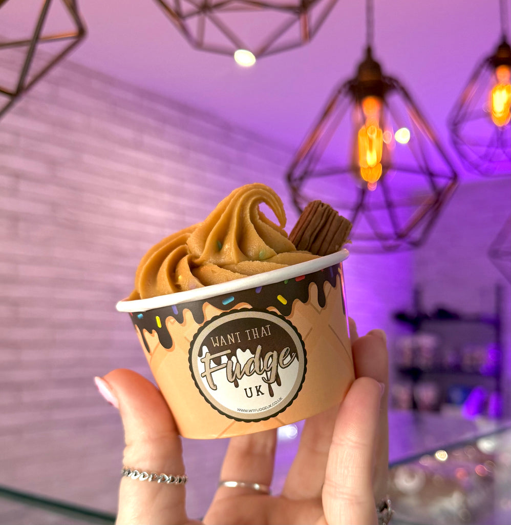 Ice Cream Whippy Fudge Cup *1-2 working days dispatch*